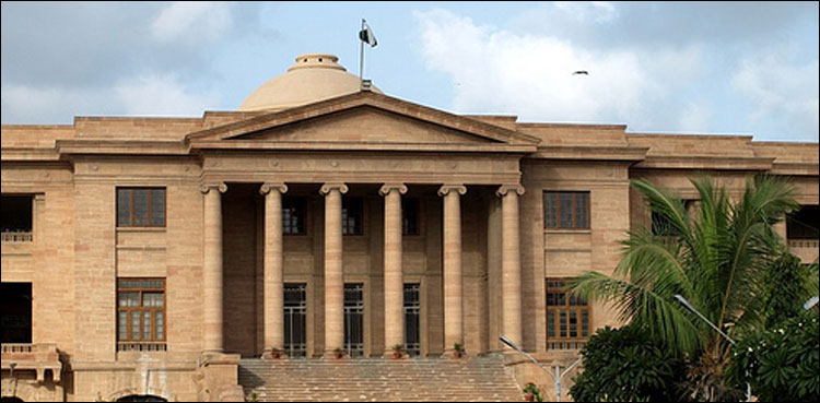 Plea, defective performance, Sindh Health Care Commission