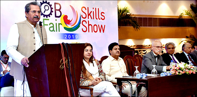 Skilled youth, economy, Shafqat Mehmood