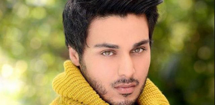 Ahsan Khan, Lux Style Awards, Meesha Shafi, Ali Zafar,