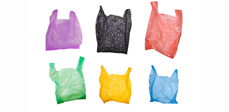 Plastic bags, banned, Islamabad, NA body