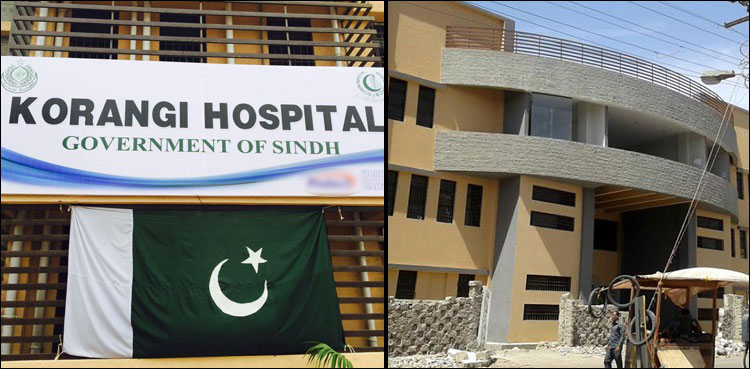 Sindh Government Hospital