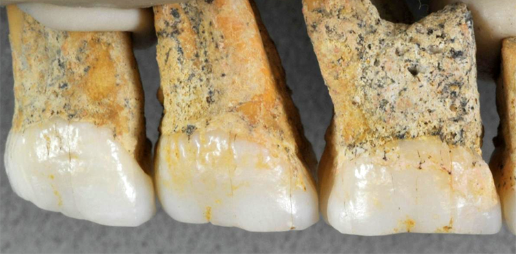 human fossils, philippines, fossils,