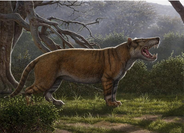 Simbakubwa kutokaafrika, fossils,