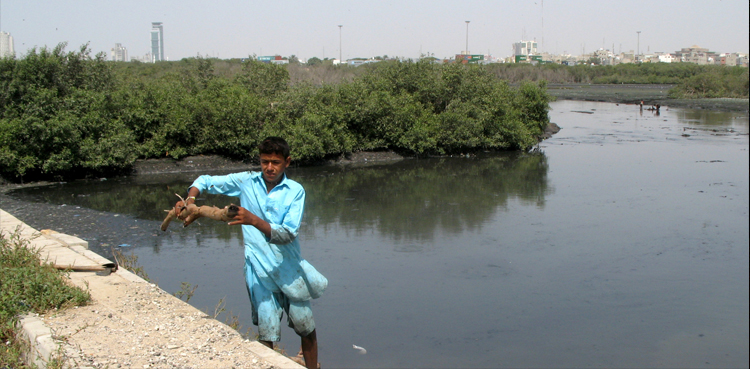 Pakistan Navy, cleanliness, tree plantation drive, Manora coast