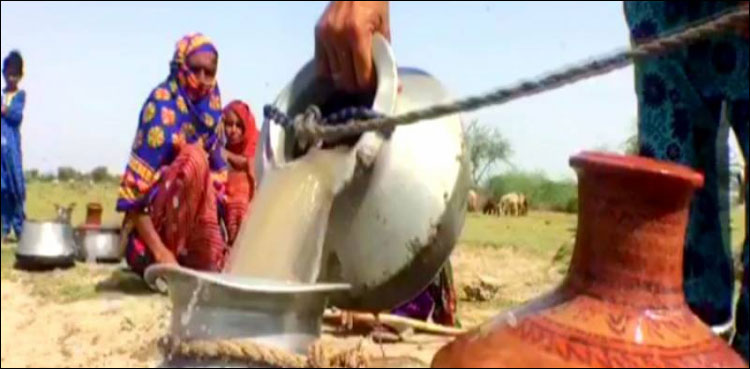 Imran Khan, badin