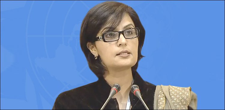 Dr Sania Nishtar