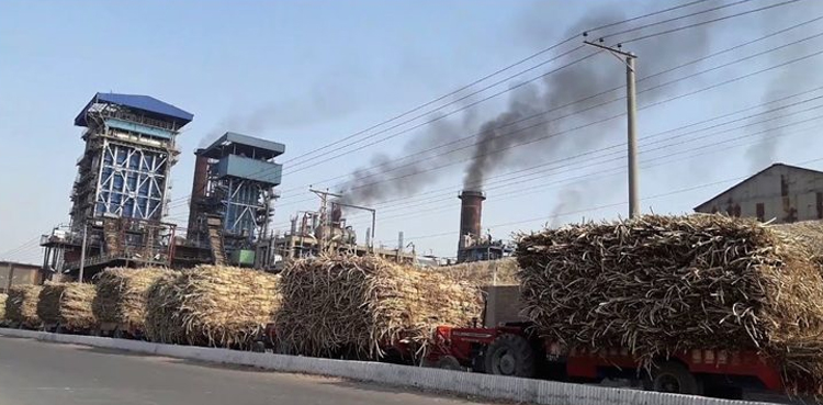 sugarcane-cane-growers-sugar-mills-payments-punjab-banks