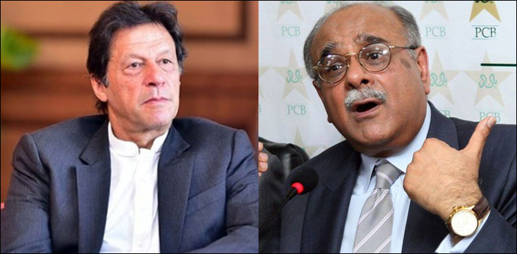 Prime Minister Imran Khan Najam Sethi