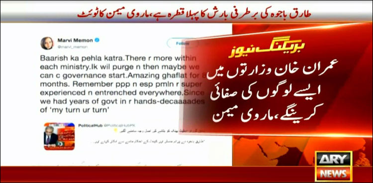 Marvi Memon, Tariq Bajwa