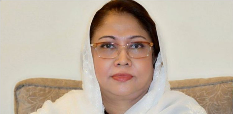 Faryal Talpur nominations disqualification ECP