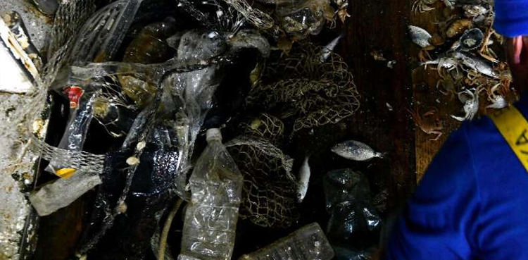 Italy fishermen plastic habits