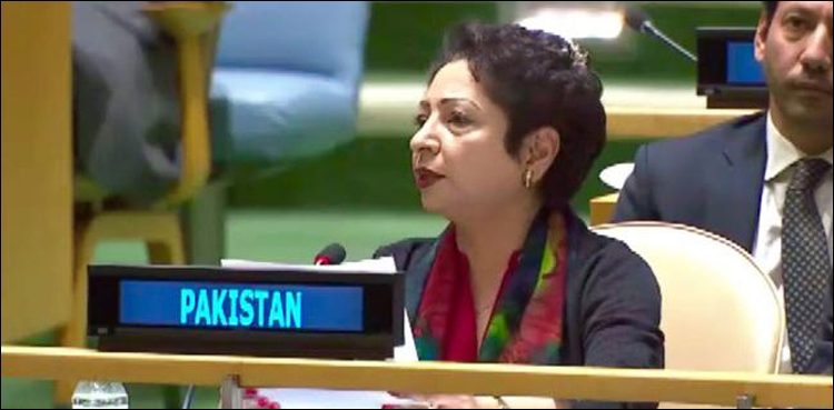 UN, Maleeha Lodhi, United Nations, Kashmir, Occupied Kashmir, Indian Occupied Kashmir