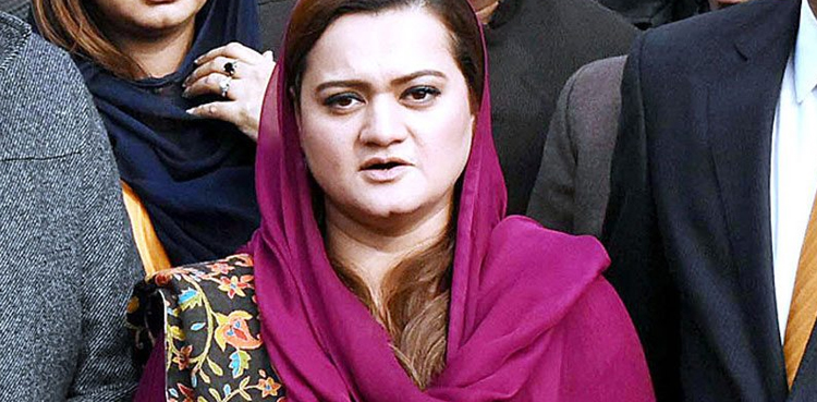 Marriyum Aurangzeb Air Ambulance