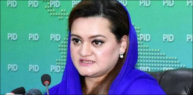 Maryam Aurangzeb, Hamza Shehbaz, Information Minister, ECP