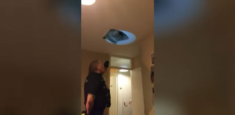 Criminal