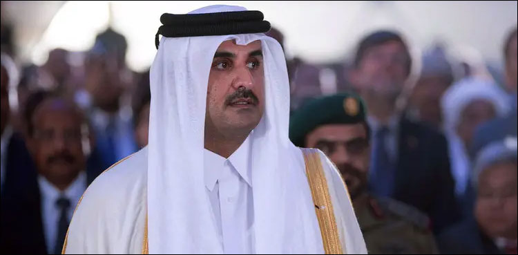 Qatar, Sheikh-Tamim-bin-Hamad