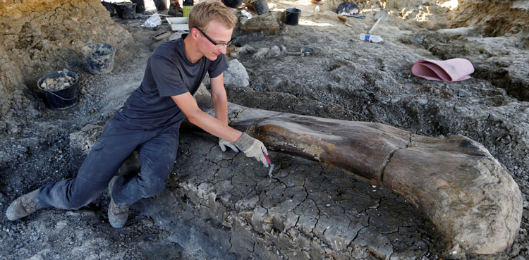 Dinosaur, Excavation