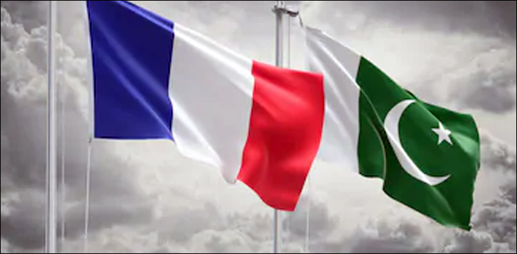 Pakistan-France, Pakistan, France, economic cooperation
