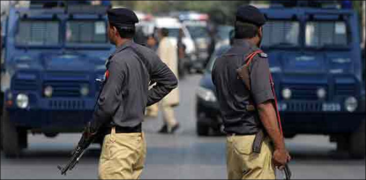 police housemaids