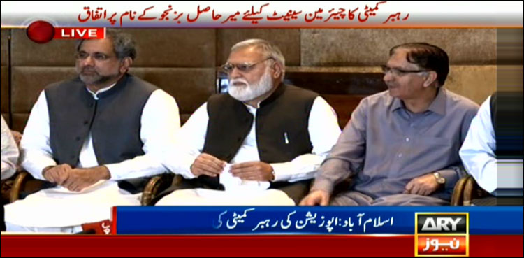 Hasil Bizenjo, Senate chairman