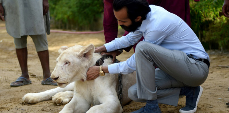 wildlife protection legislation