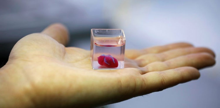 3D heart printing