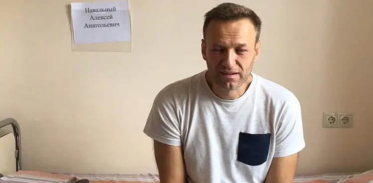 Navalny Kremlin