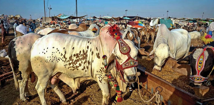 Pakistan govt approves Eidul Adha holidays