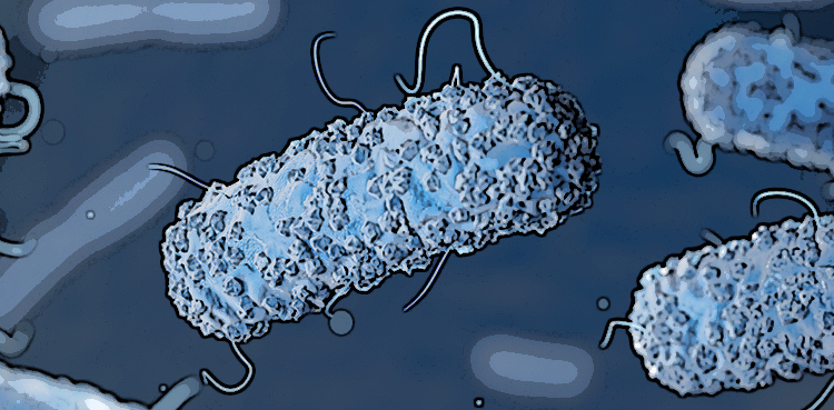 listeria