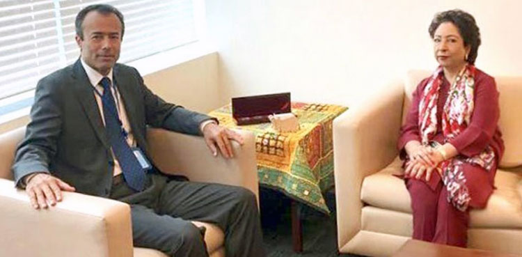Maleeha Lodhi, UN, United Nations, Kashmir, Occupied Kashmir, IoK, Indian Occupied Kashmir, LoC, Line of Control