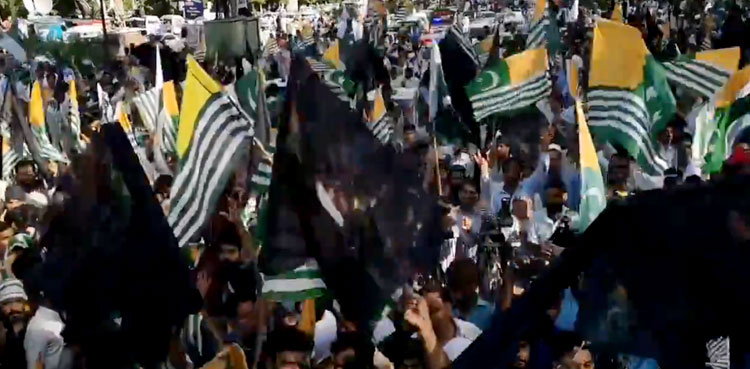 PTI Black Day rally