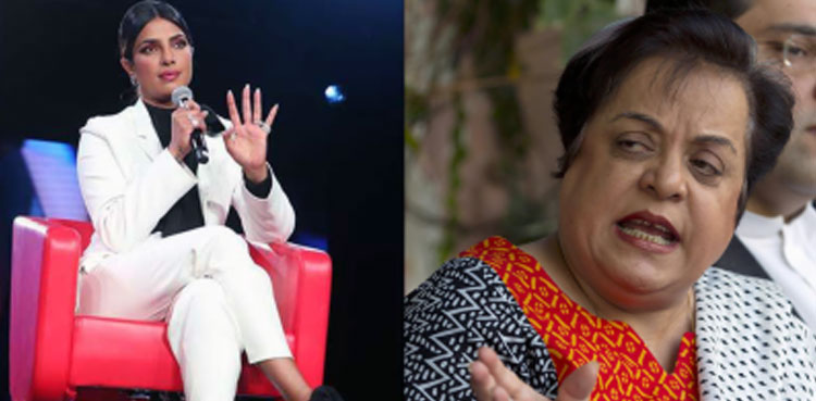 Priyanka Chopra, Shireen Mazari, Kashmir, Occupied Kashmir