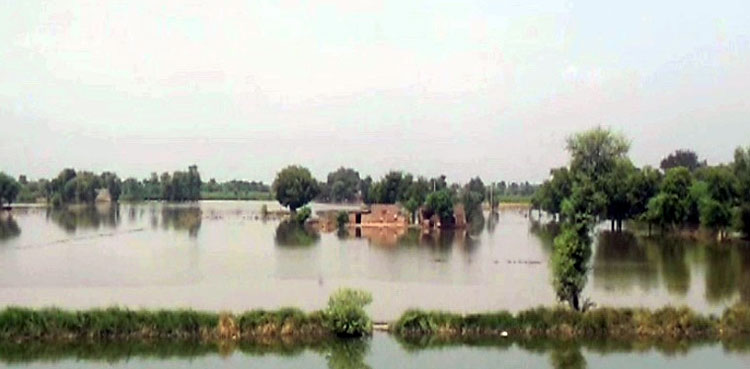 Sutlej River low flood