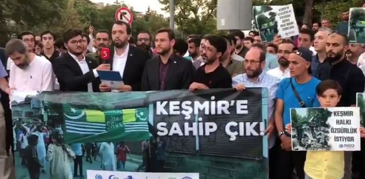 Occupied Kashmir, Kashmir, Worldwide protests