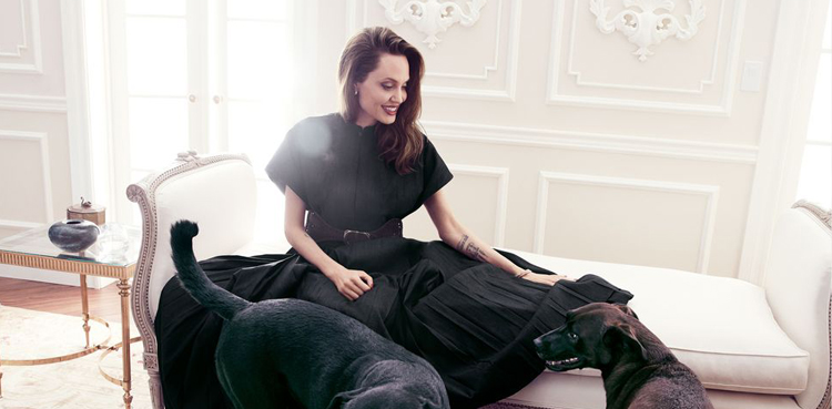 Angelina Jolie, Hollywood