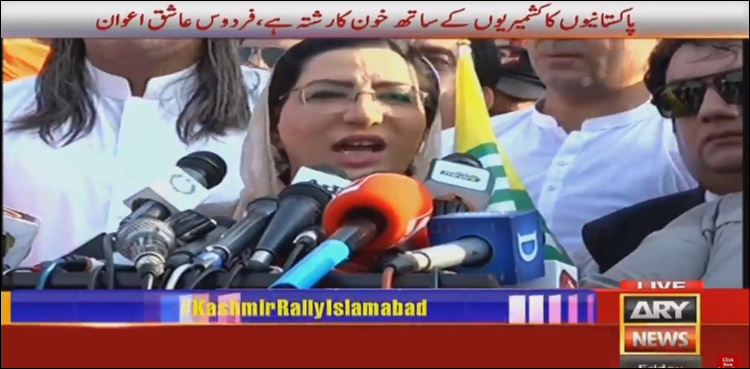 Firdous Ashiq Awan, SAPM Awan, Pakistan, India, Kashmir, Indian Occupied Kashmir, Occupied Kashmir