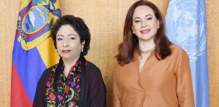 Maleeha Lodhi