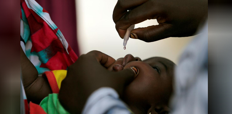 poliovirus