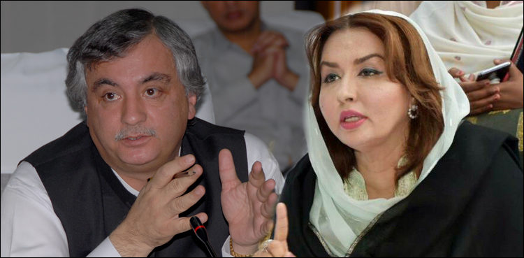 Asma, Araba Alamgir, Assets case