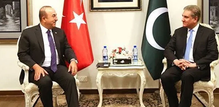 FM Qureshi
