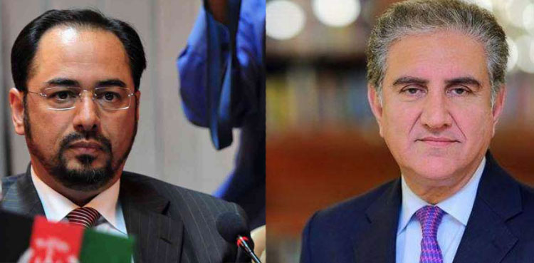 FM Qureshi