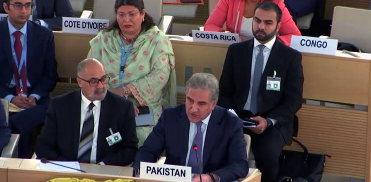 FM Qureshi, Foreign Minister, Kashmir, Occupied Kashmir, Indian Occupied Kashmir, Kashmir, UN, United Nations, UNSC, United Nations Security Council