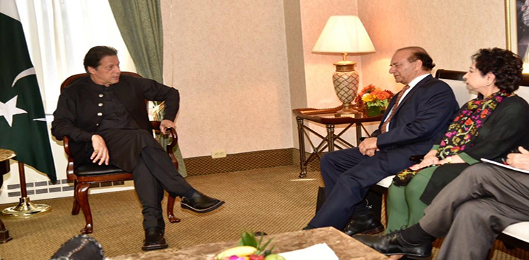 Imran Khan, Kashmir study group