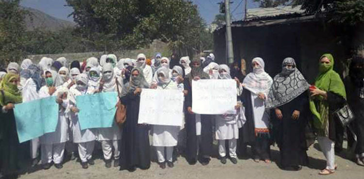 Kashmir, Rally, Solidarity, Occupied Kashmir, Chitral