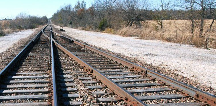 Govt approves first phase of ML-1