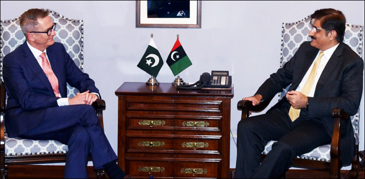 CM Sindh, Thar coal