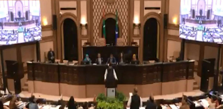 NA deputy speaker