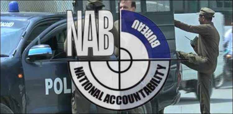NAB, National Accountability Bureau, Fake Bank Accounts Case