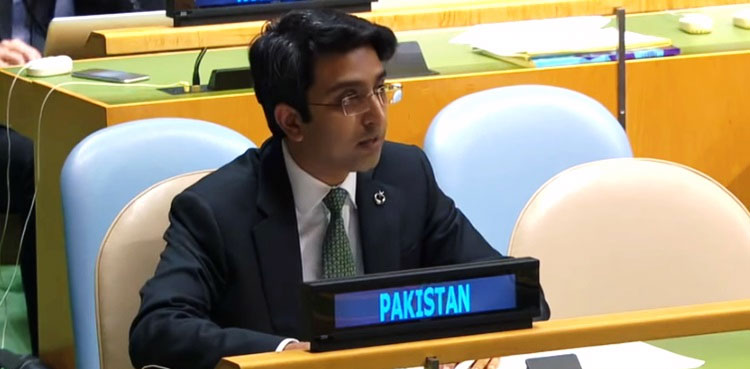 UN, United Nations, Pakistan, India, RSS, Hindutva