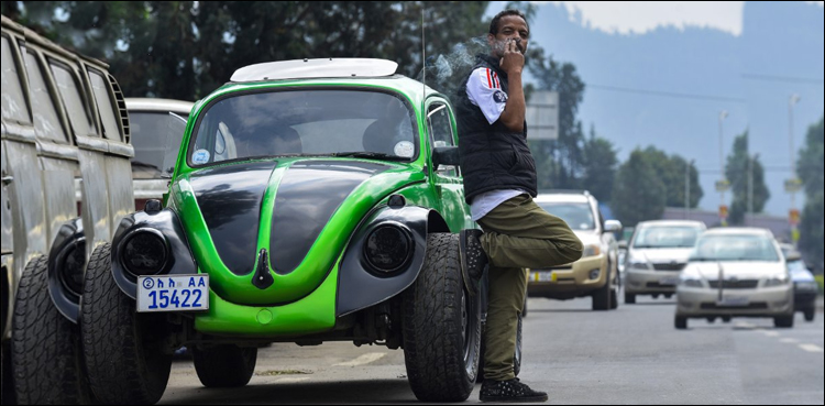 Beetle